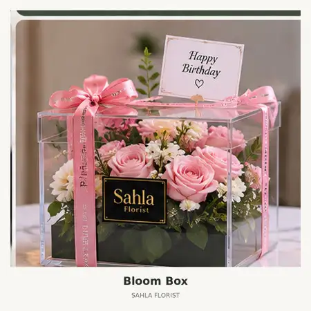 Bloom Box Bsd